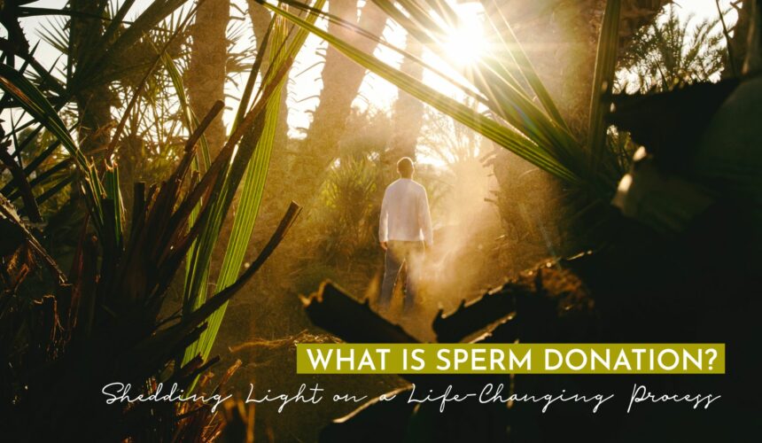 Sperm Donation Drive June 2023 What is Sperm Donation? Shedding Light on a Life-Changing Process